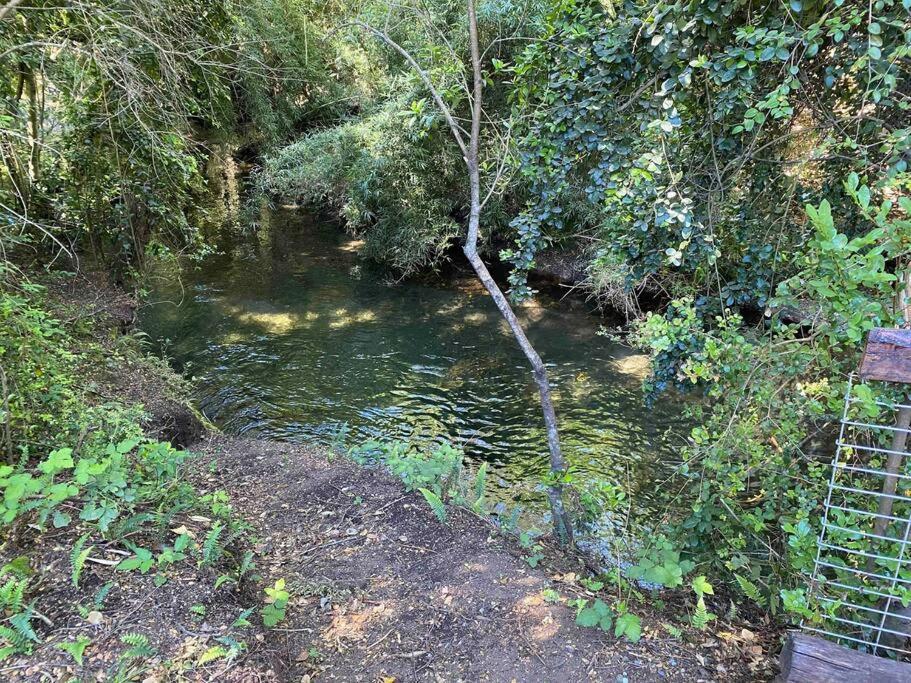 Acogedora Cabana Al Borde Del Rio Claro Villa Pucón Kültér fotó